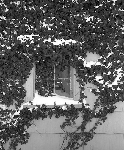 Doylestown-Window_with_Snow
