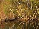 Peace_Valley_Nature_Center_Reflections