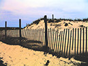 Dune_with-Fence