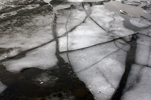 Cracks in the Ice in the Lake